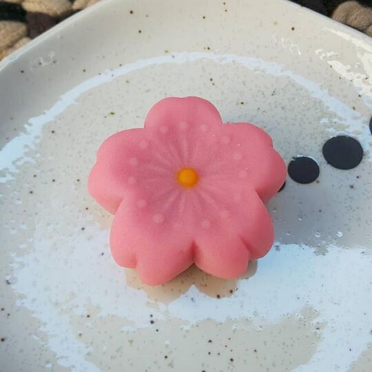 生菓子桜